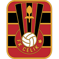 Σέλικ Ζένιτσα logo