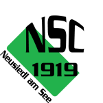 Νόισιντλ 1919 logo