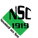 Νόισιντλ 1919 Νόισιντλ 1919 logo