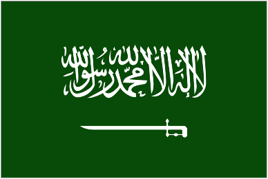 Σαουδική Αραβία logo