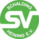 Σάλντινγκ logo