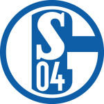 Σάλκε Σάλκε logo